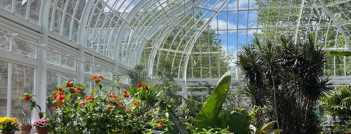 Westmount Greenhouse is one of Coolplaces Montreal.