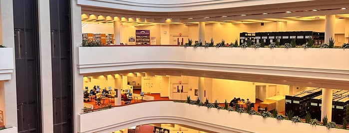 Toronto Public Library - Toronto Reference Library is one of photo ops.