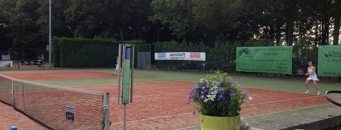 Tennis 's-Hertogenbosch