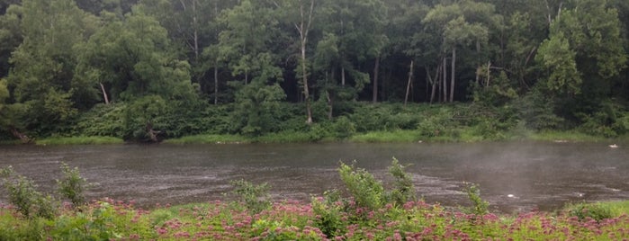 Pettecote Junction Campground is one of Places to fish.