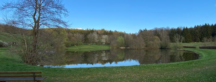 Dreiser Stausee is one of Vulkaneifel.