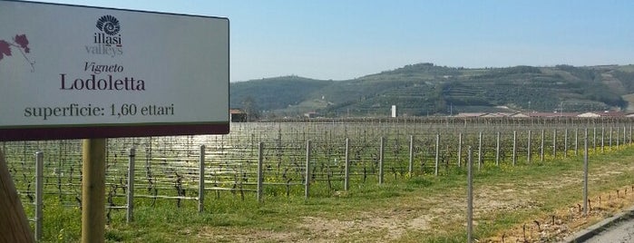 Romano Dal Forno is one of Verona.