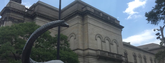 Carnegie Museum of Natural History is one of Pitts.