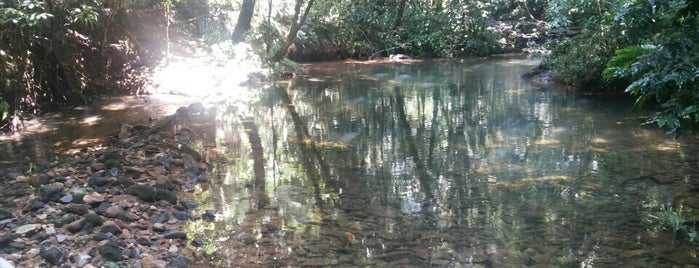 Ilha do Cardoso is one of Viagens.