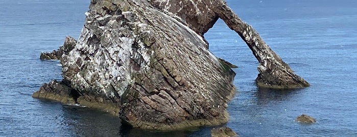 Bow Fiddle Rock is one of Sevgiさんの保存済みスポット.