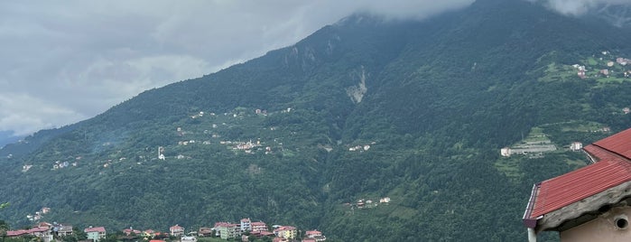 5. Cumhurbaşkanı Cevdet Sunay Evi Müzesi is one of Trabzon to Do List.