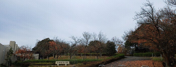 Maizuru Repatriation Memorial Park is one of Tempat yang Disukai Minami.