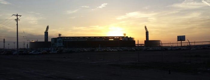 Territorio Santos Modelo is one of Mexico Soccer Stadiums.