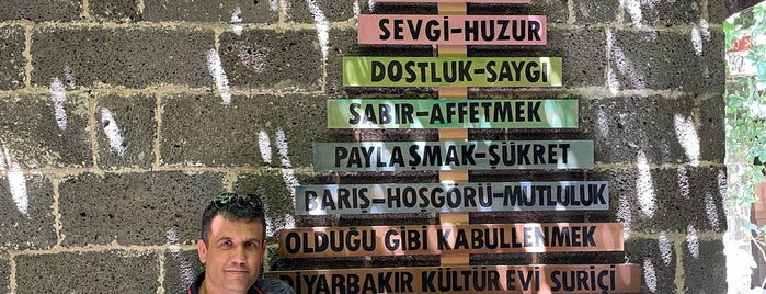 Diyarbakır Kültür Evi is one of สถานที่ที่ Özden ถูกใจ.