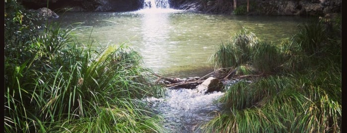 Kondalilla Falls is one of Lieux qui ont plu à Daniel.