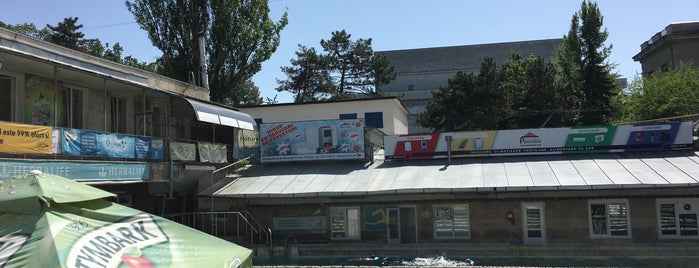 Плавательный бассейн Государственного университета физической культуры и спорта is one of Кишинев.