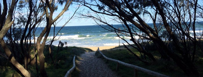 Kawana Beach is one of Stevenson's Favorite World Beaches.