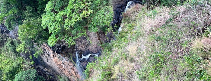 Mapleton Falls National Park is one of Places to visit in QLD.