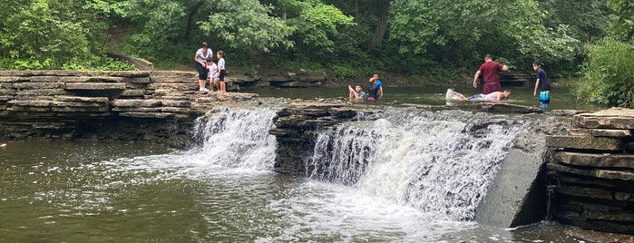 Waterfall Glen Lemont Rd. Entrance 9.5 Mile Main Trail is one of Mayorships.