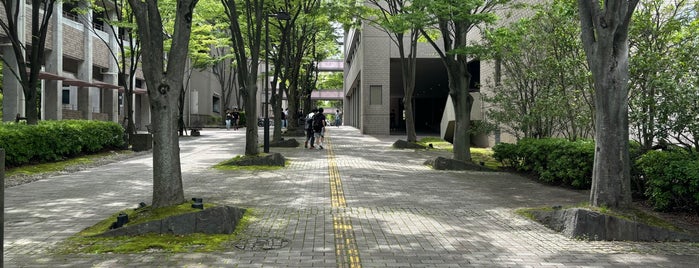Tokyo Metropolitan University is one of 大学.