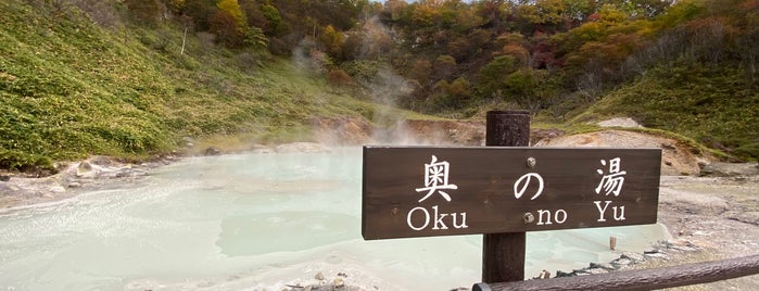奥の湯 is one of Tempat yang Disukai Rex.