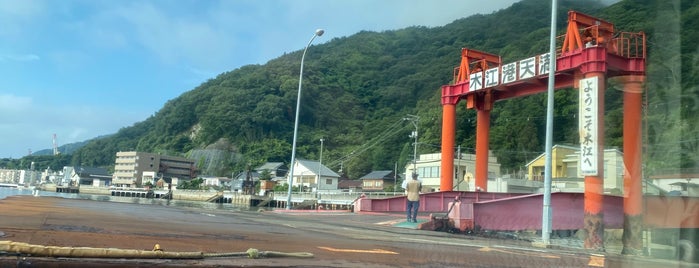 天満港 is one of フェリーターミナル Ferry Terminals in Western Japan.