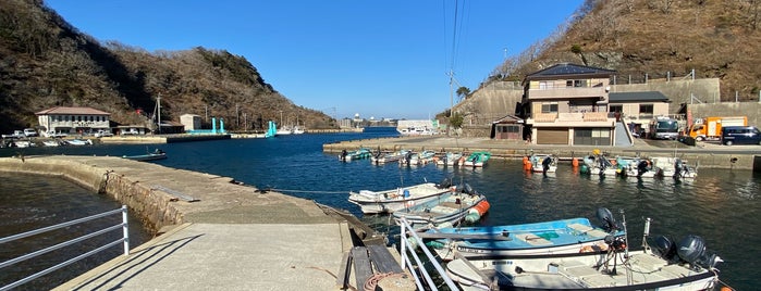 tsushima island is one of 日本国 国境 境界 歴史的史跡関連.