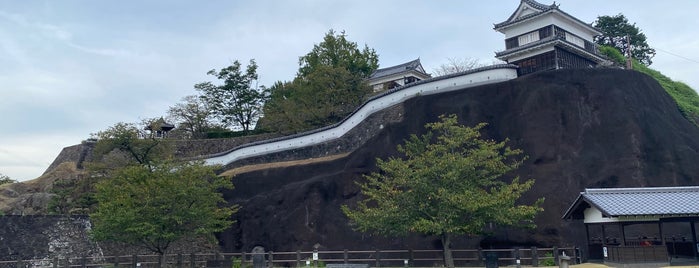Usuki Castle Ruins is one of [ todo] Oita pref..