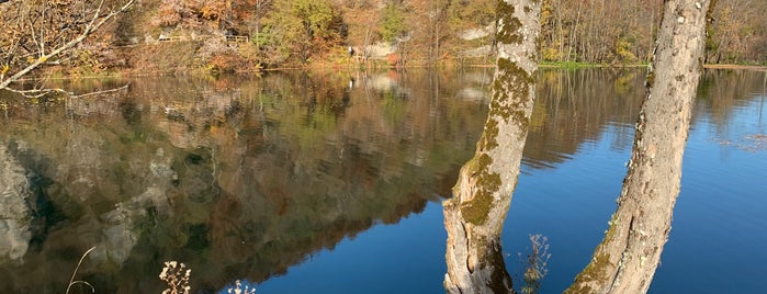 Proscansko jezero is one of hırvatistan.
