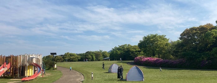 唐八景公園 is one of 公園.