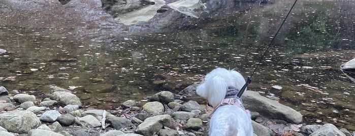 Awamata Waterfall is one of Sada 님이 좋아한 장소.