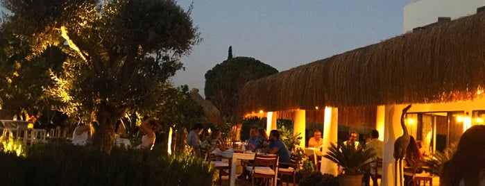 Savra Bodrum Restaurant and Boutique Hotel is one of Top 10 places to try this season.