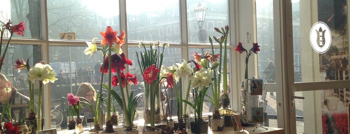 Amsterdam Tulip Museum is one of Tempat yang Disimpan Kübra.