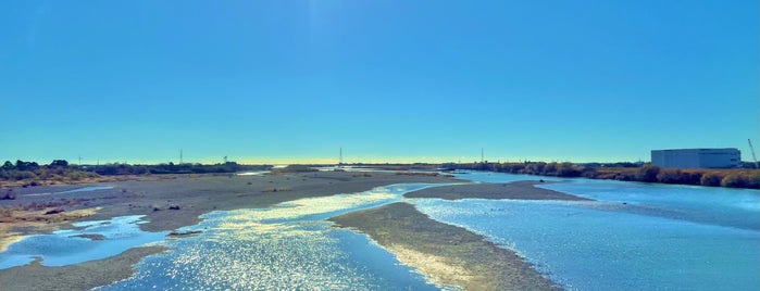 東海道新幹線 天竜川橋梁 is one of 東海道新幹線CI処.