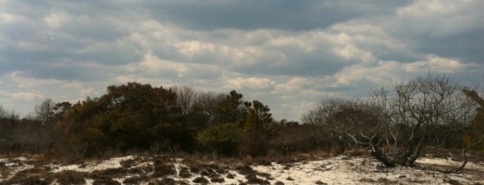 Assateague Island National Seashore (Maryland) is one of 50 US Trips to Take.
