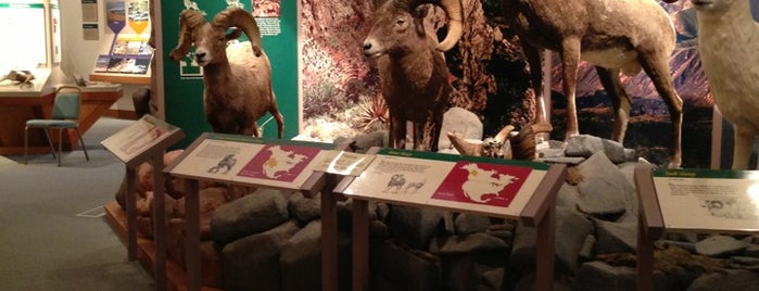 National Bighorn Sheep Interpretive Ctr is one of Places to See - Wyoming.