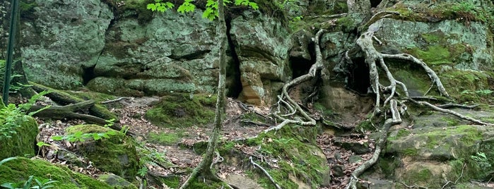Parfrey's Glen Natural Area is one of Baraboo.