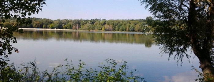Озеро Редькино (Министерка) is one of озера Києва.