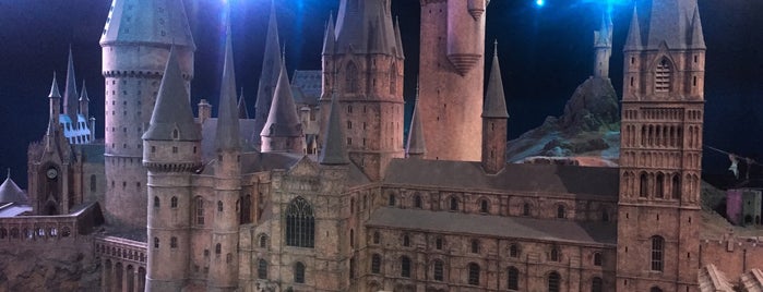 Warner Bros. Studio Tour London - The Making of Harry Potter is one of London.