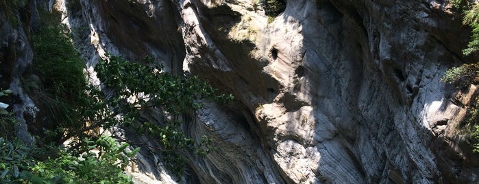 Swallow Grotto is one of Trekkin' in Taipei.