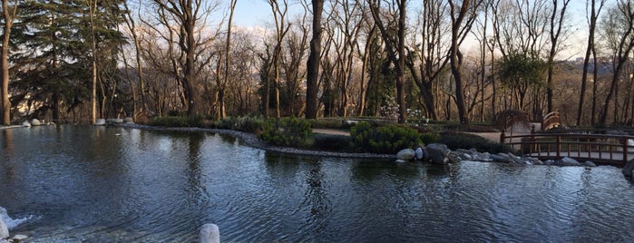 Emirgan Park is one of Anastasia’s Liked Places.