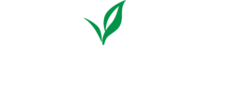 Online Seed Sales