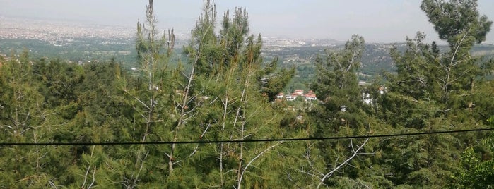 Dişli Stres Tepesi is one of Posti che sono piaciuti a 🇹🇷.