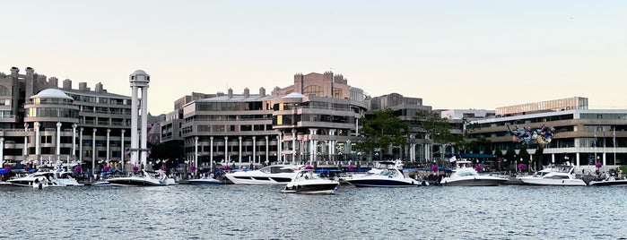 Potomac Water Taxi - The Wharf is one of Washington DC.