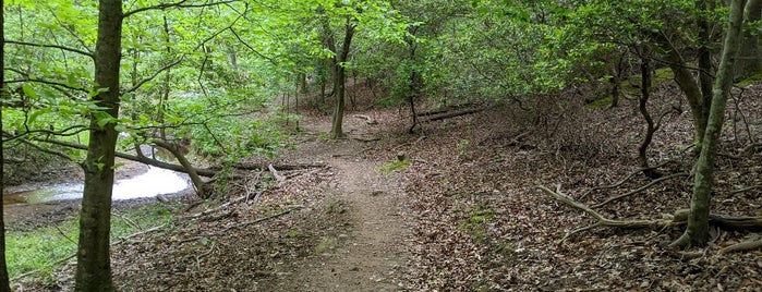 Falls Lake Trail (NCMST) Section 6 is one of David 님이 좋아한 장소.