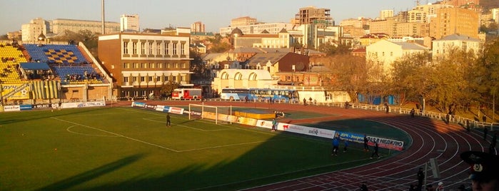 Стадион «Динамо» is one of 2006.