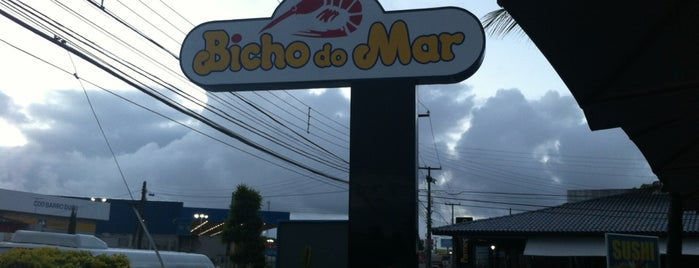 Bicho do Mar is one of Fabioさんの保存済みスポット.
