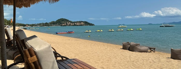 Summer by Coco Tam’s is one of Koh Samui.