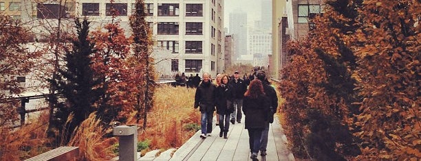 High Line is one of New York.