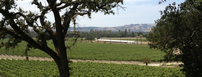 Scribe Winery is one of Nor Cal Wine Country.