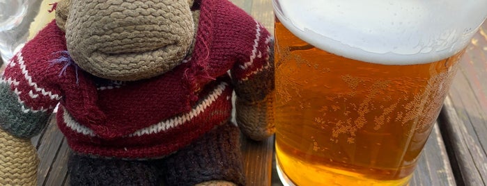 Best pubs for ale in Wolverhampton