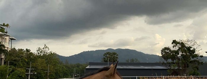 Phuket Horse Club is one of تايلند🇹🇭.