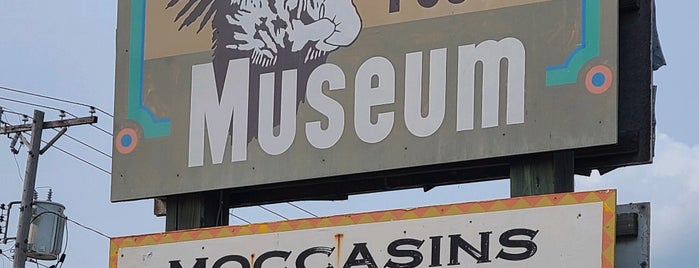 Parson's Indian Trading Post & Museum is one of Wisconsin dells adventures.