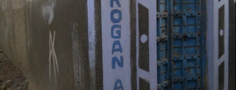 Rogan Art is one of Kutch Tourist Circuit.
