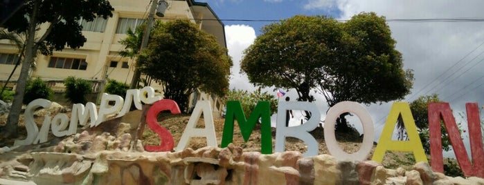 Samboan, Cebu is one of Cebu Province.